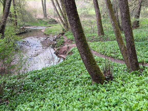 22-04-15 11-27-26 0480